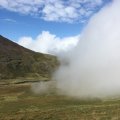 IMG_1590