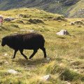 IMG_1597