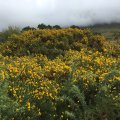 IMG_1601