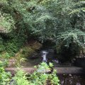 IMG_1654
