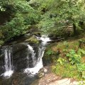 IMG_1655