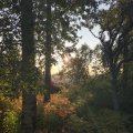 IMG_2952