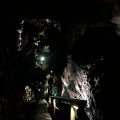 IMG_2981
