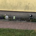 IMG_4181