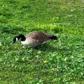 IMG_4926