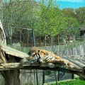 IMG_4952