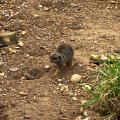 IMG_4956