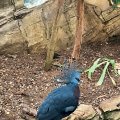 IMG_4962