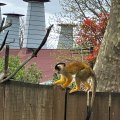 IMG_4967