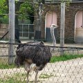IMG_4983