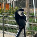 IMG_4985