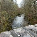 IMG_4997
