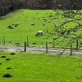 IMG_5008