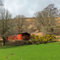 IMG_5012