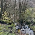 IMG_5013