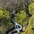 IMG_5020