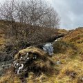IMG_5022