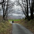 IMG_5029