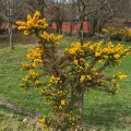 IMG_5030