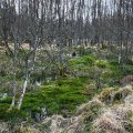 IMG_5037