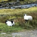 IMG_5040