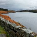 IMG_5052