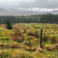 IMG_5057