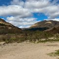 IMG_5120
