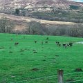 IMG_5153