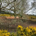 IMG_5159