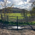 IMG_5187