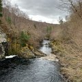IMG_5193