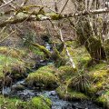 IMG_5196