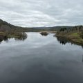 IMG_5207