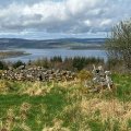 IMG_5220