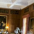 IMG_5230