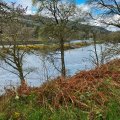 IMG_5271