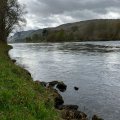 IMG_5272
