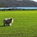 IMG_5291
