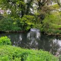 IMG_5304