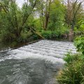 IMG_5305