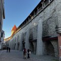 IMG_5530.