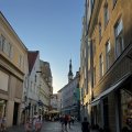 IMG_5531.