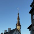 IMG_5536.