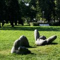 IMG_5542.
