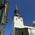 IMG_5551.