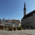 IMG_5555.