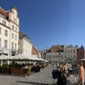 IMG_5556.