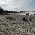 IMG_5561.