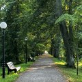 IMG_5567.